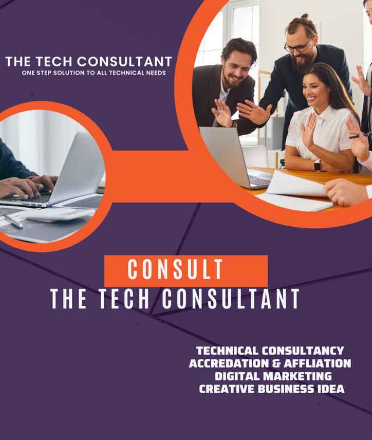 The Tech Consultant
