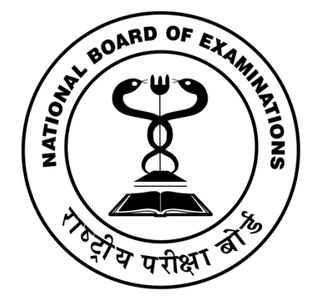 The Tech Consultant Client